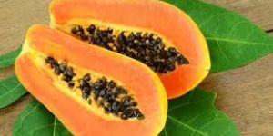 Fresh Papaya