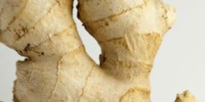 Pattala White Washed Ginger