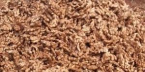 Riyodi Red Unwashed Ginger