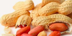 Shelled Groundnuts