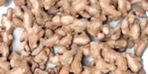 Unwashed Dry Ginger