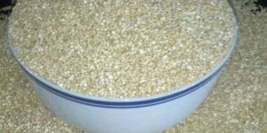 Organic White Quinoa
