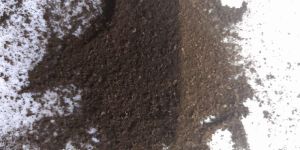 Filter Coffee Powder