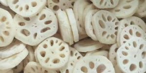 FROZEN LOTUS ROOT