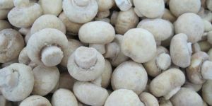 Frozen Mushrooms