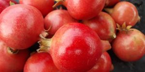 Pomegranate