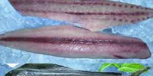 Frozen Mahi Mahi Fish Fillet with Skin