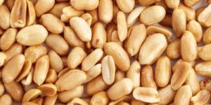 Brown Peanut Kernels