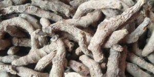 Unpolished Turmeric Finger