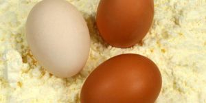 Pure Egg Powder