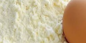 White Egg Powder