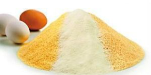 Whole Egg Powder