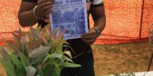 Badhan Plants Nursery