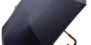 Two Fold Umbrella
