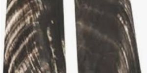 Buffalo Horn Black Plates with White Streaks