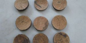 Coconut Shell Button Blanks