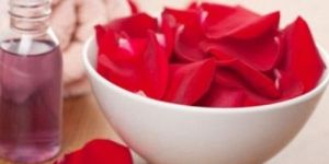 Rose Absolute Fragrances Perfume