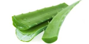 Organic Aloe Vera