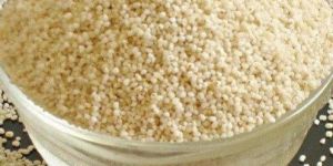 Polished Kodo Millet