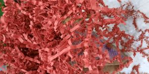 Shredded Paper Packaging