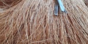 Single Combed Bristle Fiber