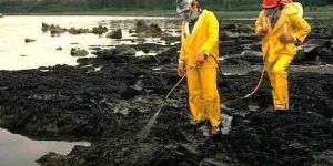 Techemo- RS50 Bioremediation Microbes