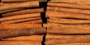 Cinnamon Stick