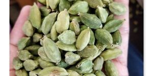Green Cardamom Pods