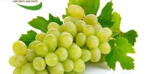 Fresh Seedless Grapes