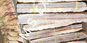 RAM Horn Knife Handle