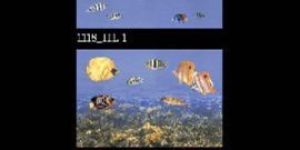 450x300mm Gloss Series Digital Wall Tiles