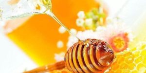 Eucalyptus Honey