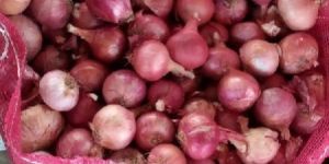 Red Onion