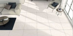 Netra White PGVT Tiles