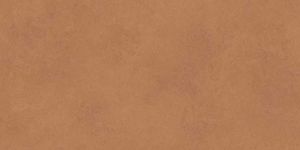 Opaco Cotto PGVT Tiles