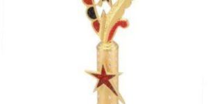 Red Metal Star Trophy