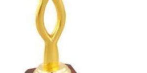 Stylish Metal Diamond Trophy