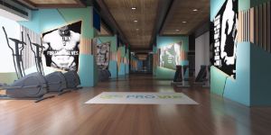 Gym Interior Designing Services