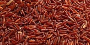 Organic Sivappu Kavuni Rice