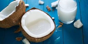 Organic Skimmed Coconut Milk