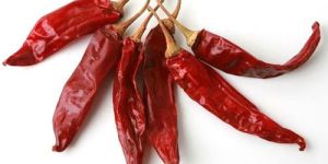 Natural Dried Red Chilli