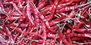 Raw Dried Red Chilli