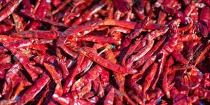 Teja Dried Red Chilli