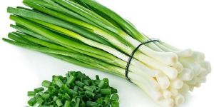 Fresh Green Onion