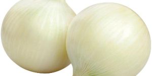 Fresh White Onion