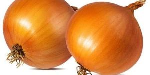 Fresh Yellow Onion