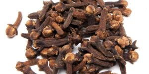 Clove Seeds