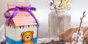 Teddy Container 3D Chocolate Boxes
