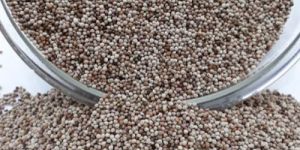 Pure Organic Bhangira Seeds