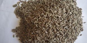 Cumin Seeds